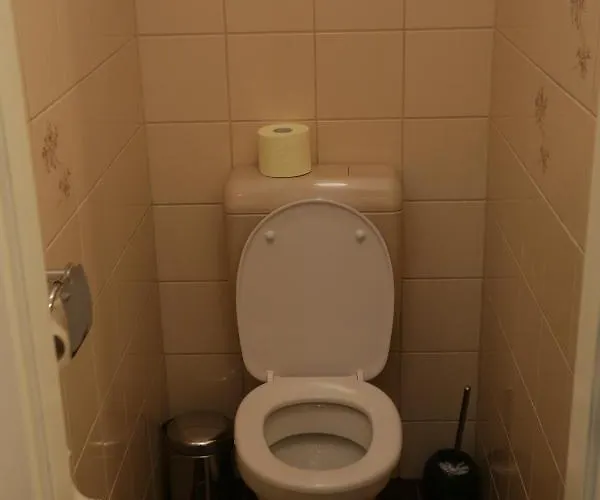Vienna Business Apartment * וינה