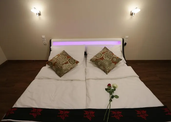 Vienna Business Apartment * וינה